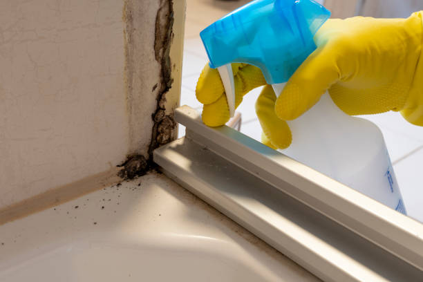 Best Asbestos and Lead Testing During Mold Inspection  in La Puente, CA